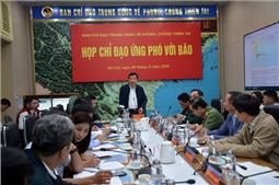 Khẩn trương rà soát, tổ chức sơ tán dân trước khi bão vào